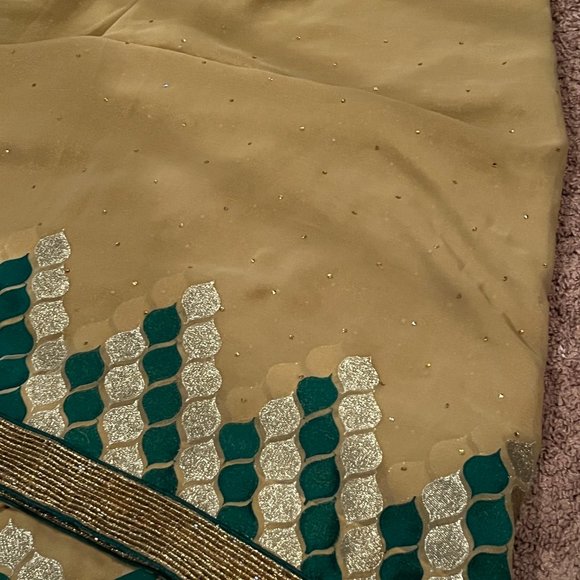 Pure Geogette embroidered designer Rangoli sequin saree - Picture 8 of 12